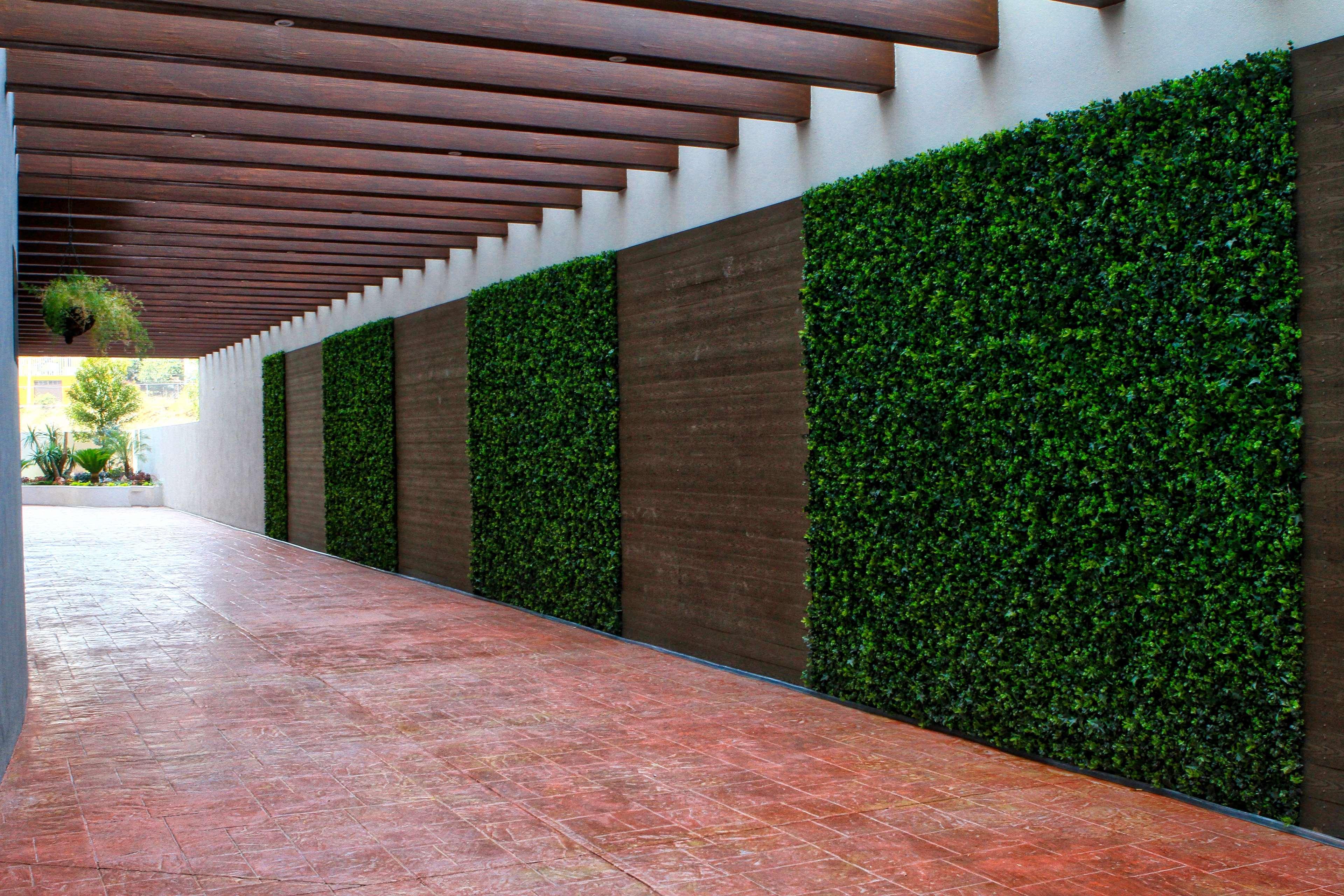 Best Western Plus Santa Cecilia Pachuca Exterior foto